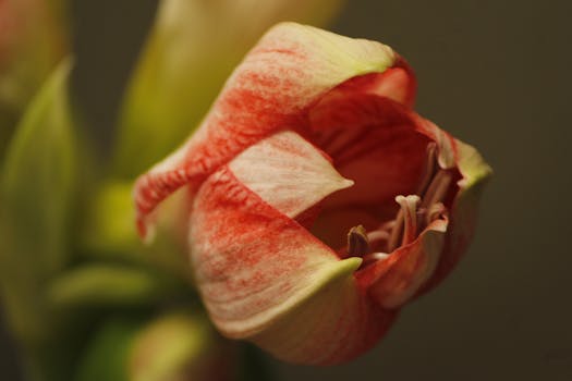 Dukovany blíží realizaci: Zelené světlo od šéfa KHNP