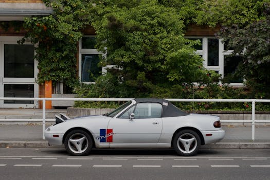 Sjezd sudetských Němců v Brně: Jaký bude dopad na město?