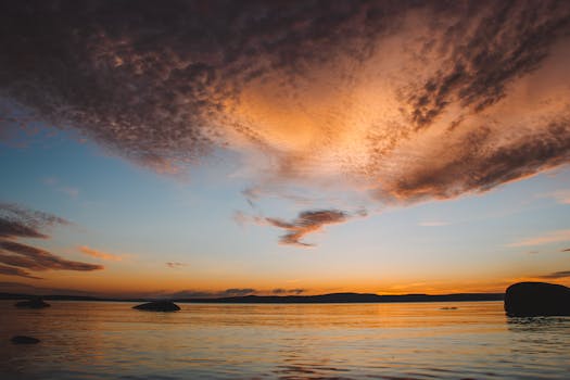 Ulrich Seidl hvězdou Letní filmové školy v Uherském Hradišti 2023