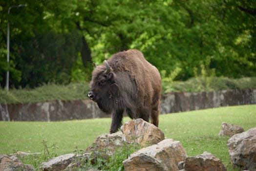 Švédsko a Dánsko vévodí EU v inovacích, ČR na 19. místě