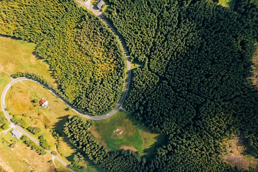 ANO vítězí ve volbách v Královéhradeckém kraji, Spolu zaostává