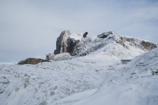 Fiala: Klimatické cíle EU jsou nerealistické a ohrozují ekonomiku