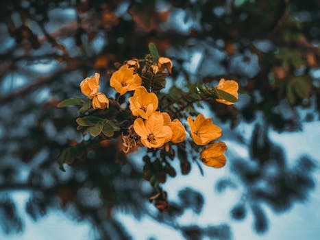 Thálie 2023: Dočkalová, Panzenberger a Absolonová mezi vítězi!