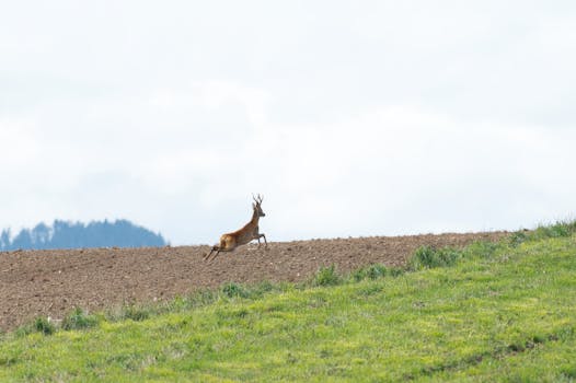 Slovensko bojuje s rozsáhlými podvody s DPH, varuje EU žalobkyně