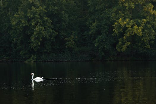 Benzin v ČR nejlevnější za 4 roky! Padají i ceny nafty.