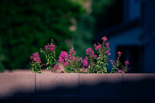 Chelsea FC v šoku: Maresca končí, přichází nový neznámý kouč!