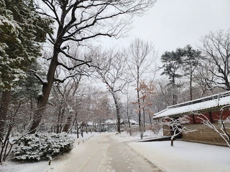 Kim Čong-un Otevírá Lázně: Nová Relaxace pro Lid Severní Koreje