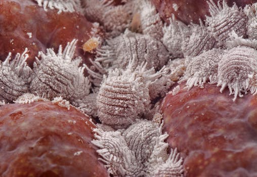 Íránské Útoky Ohrožují Americkou Komunikaci: Detailní Analýza Škod