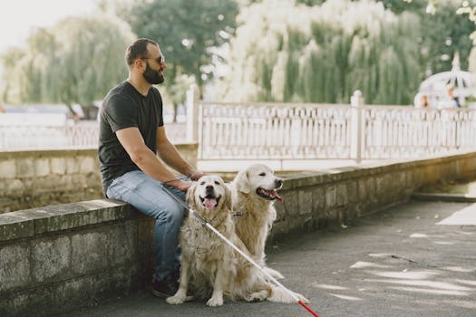 Od štěněte k hrdinovi: Transformace psů na průvodce nevidomých