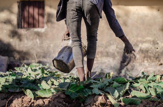 Jak rostoucí ceny hnojiv ovlivňují evropské zemědělce a spotřebitele?